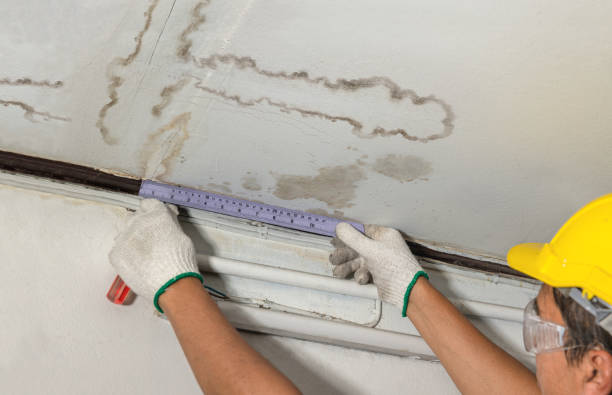 Reliable Flood Cleanup contractor in Livermore, CO by Water Damage Irwin